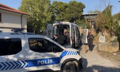 Uludağ’da kestane kavgası!