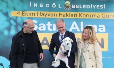 İnegöl’de can dostlara yeni yuva