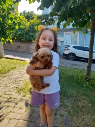 4 yaşındaki Berra’nın ölümünde skandalların ardı arkası kesilmiyor