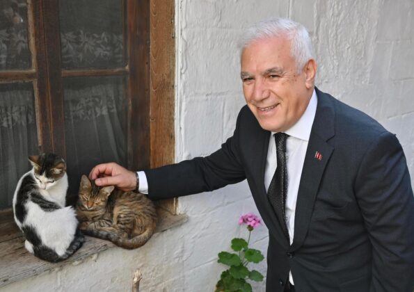 Bursa’da can dostlara şefkat eli