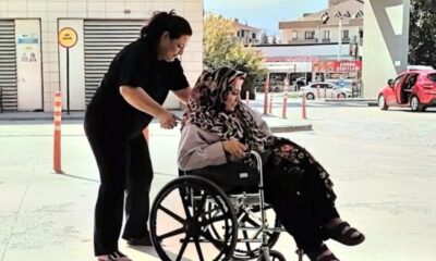 Piknik yaparken yılan ısırdı