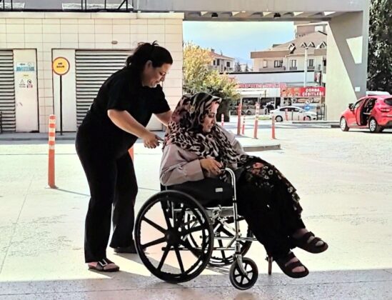 Piknik yaparken yılan ısırdı