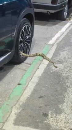 Bursa’da şaşırtan görüntüler!