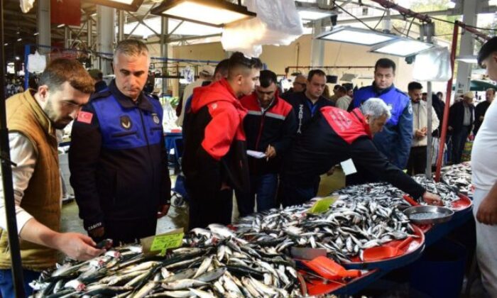 Yenişehir’de balık pazarına denetim
