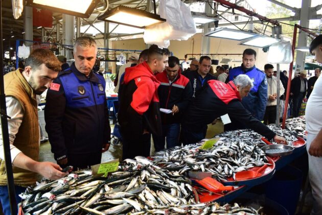 Yenişehir’de balık pazarına denetim