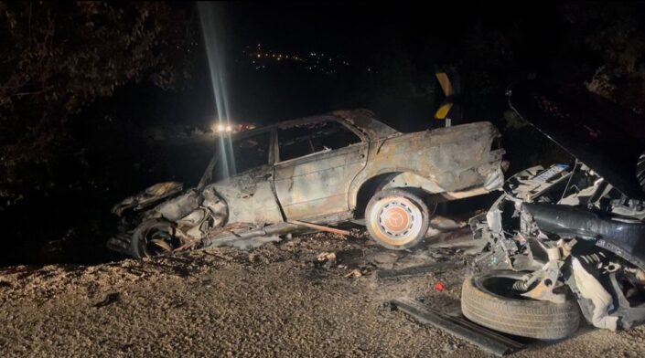 Alev alan araçtaki yangın ormana sıçradı