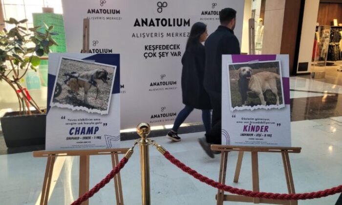 HEPAD ve BUFSAD’dan anlamlı ortaklık