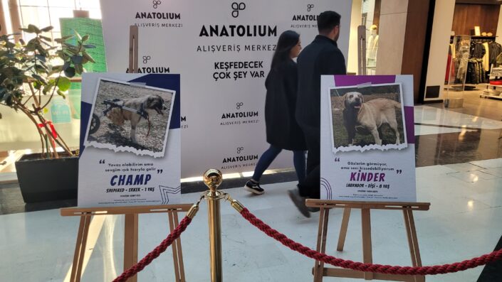 HEPAD ve BUFSAD’dan anlamlı ortaklık