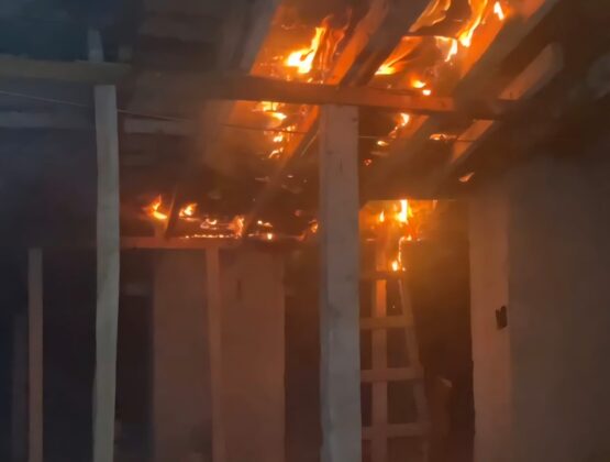 “Güzelyalı’nın Neronu” bu kez tutuklandı