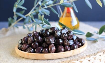Her 6 sofralık zeytinden birini Bursa ve Balıkesir üretecek