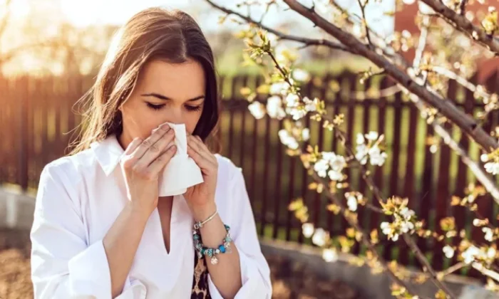 Polenler gitti, küf mantarları geldi