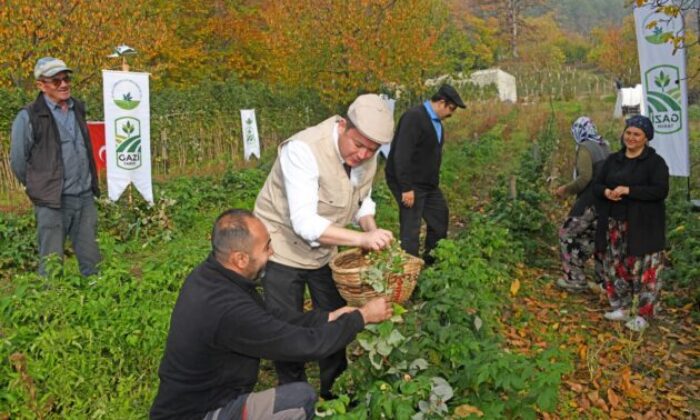 Osmangazi’de organik tarım seferberliği