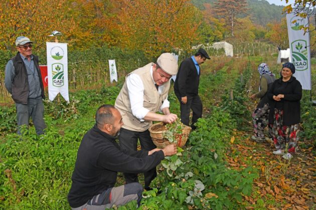 Osmangazi’de organik tarım seferberliği