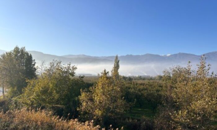 Bursa Milletvekilleri’nden acil önlem çağrısı