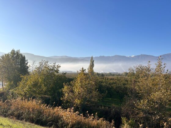 Bursa Milletvekilleri’nden acil önlem çağrısı