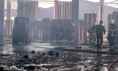 Palet fabrikasında yangın!