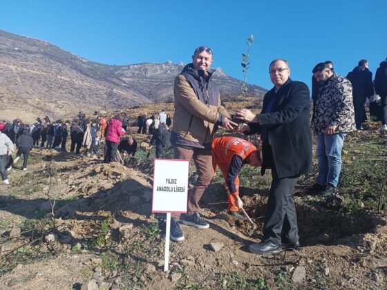 Fidanlar toprakla buluştu