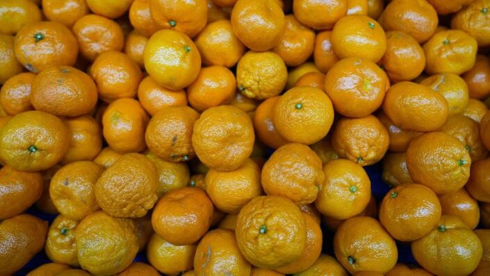 Mandalinada tarihi ihracat rekoru