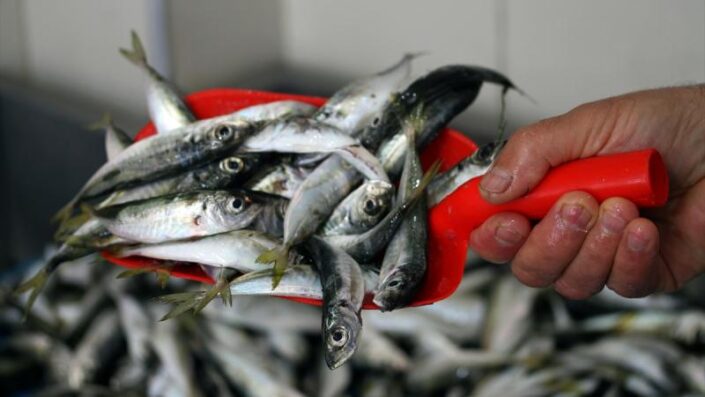 En çok zamlanan ve ucuzlayan ürünler belli oldu