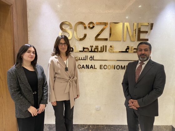 Mısır, Bursa sanayicisi için fırsat mı tehdit mi?