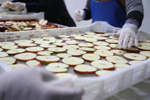 Tarımın geleceği İnegöl’de inşa ediliyor