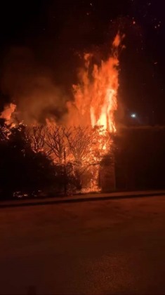 Parktaki ağacı ateşe verdiler!