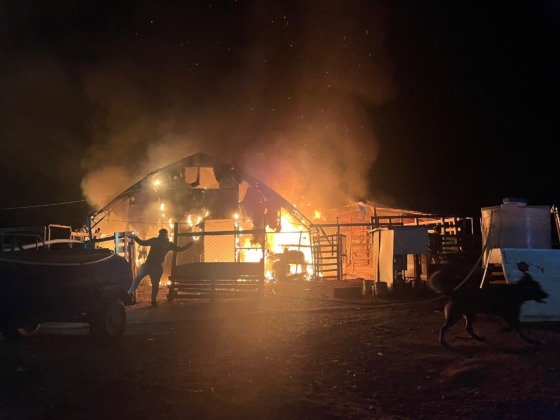 Bursa’da çiftlik yangını: 580 hayvan telef oldu