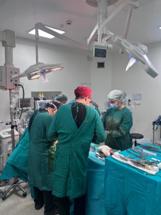 Bursa organ bağışında Türkiye’nin ‘umut başkenti’