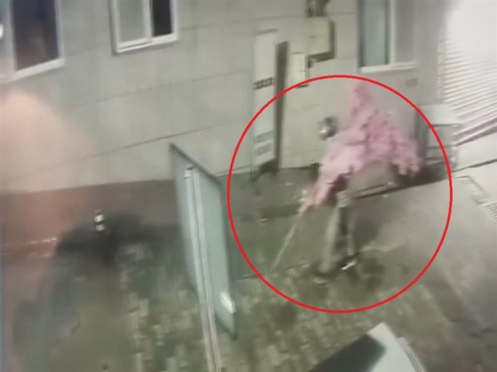 Süs ağacını sırtlayıp kayıplara karıştı