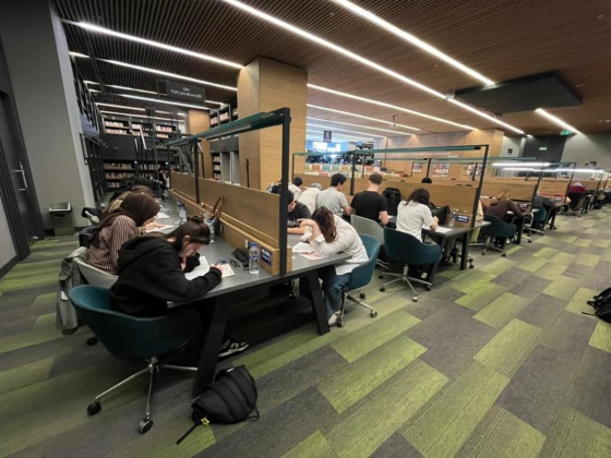 Üniversite hayaline Yıldırım desteği