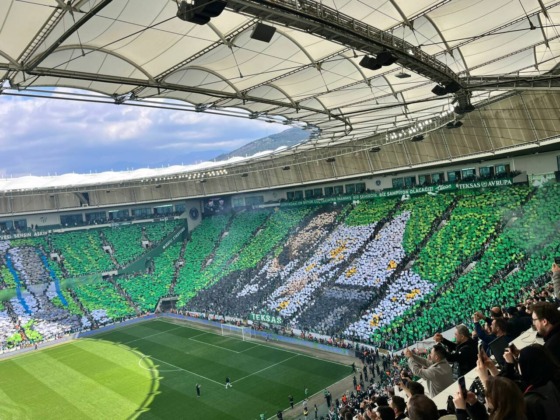 40 bin kartonla dev koreografi!