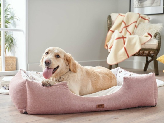 Martta en çok evcil hayvan ürünleri zamlandı