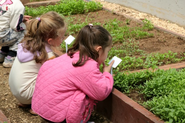 Serada eğitim, toprakta deneyim