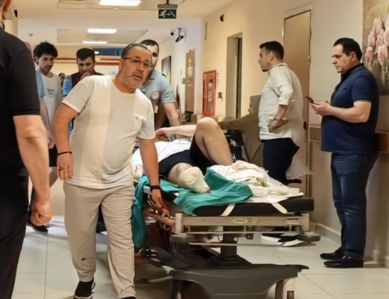 Çim biçmek isterken dehşeti yaşadı!