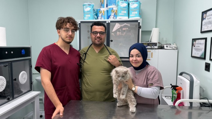 Veterinerde deprem etkisi yapan kedi Türkiye’nin gündeminde