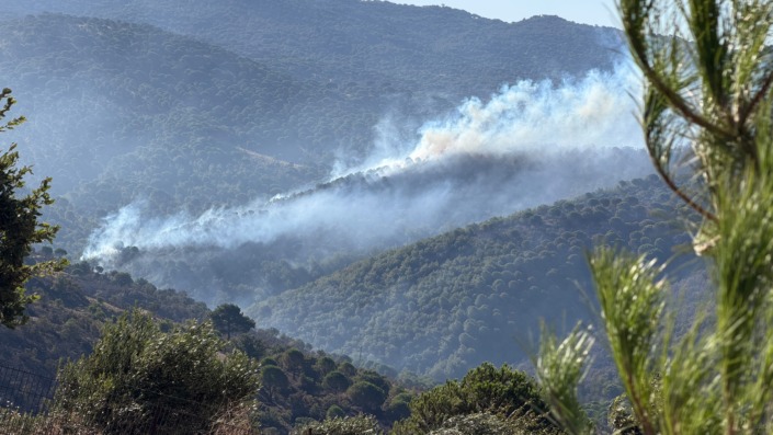 Gömeç yangını kontrol altında: 2 kişi tutuklandı