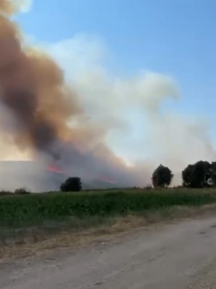 Bursa’da orman yangını