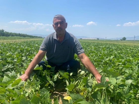 Kooperatif modeli çiftçiye güvence oldu