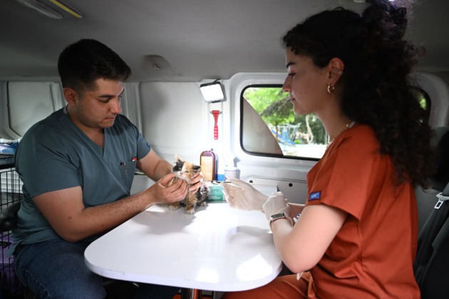 Yıldırım’da sokak hayvanlarına ‘PATİVET’ şefkati